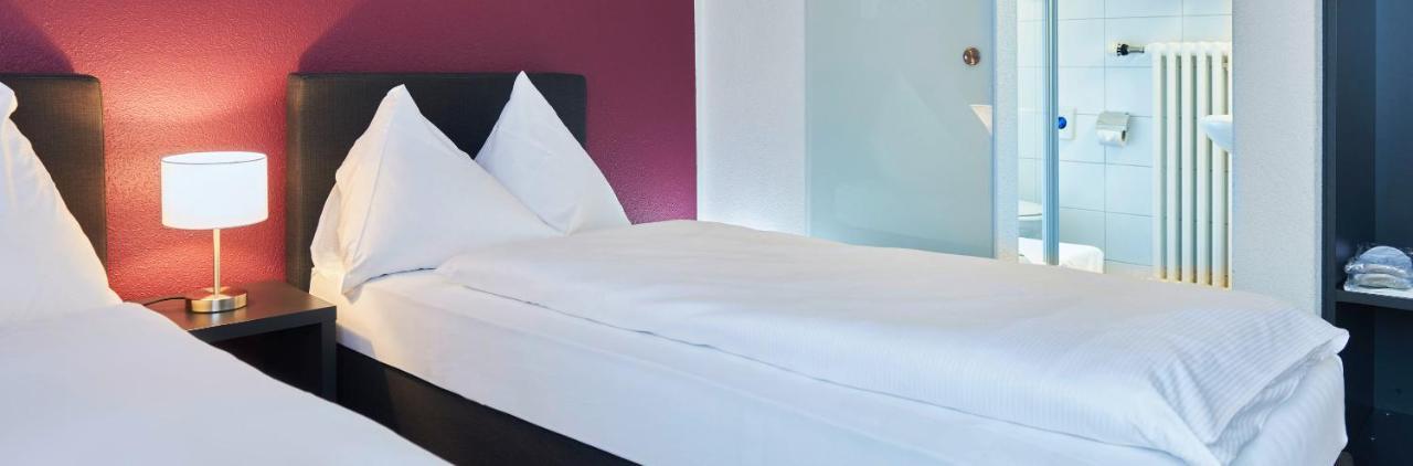 Hotel Hottingen Curych
